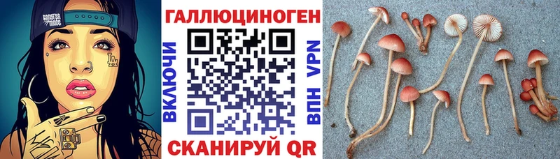Галлюциногенные грибы Psilocybine cubensis Спасск